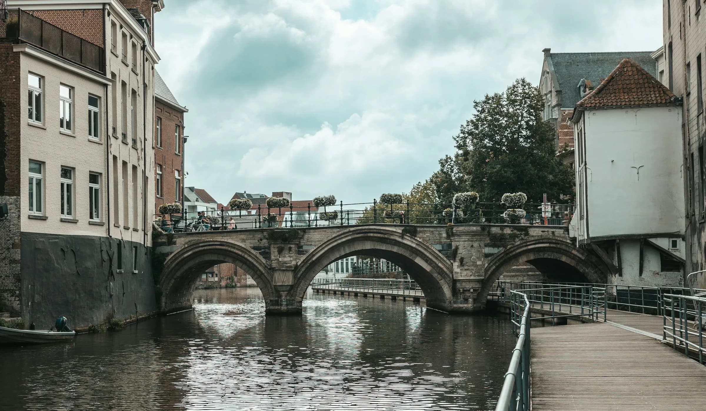 MOGHI totebag with quote brand it like it's hot